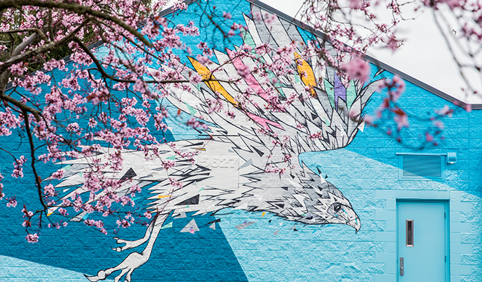 A mural side view of a white bird spreading wings flying and a cherry blossom tree in the foreground